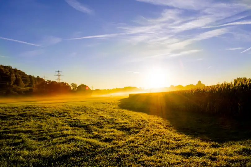Sonnenaufgang über einer Wiese – kostenlose Energie der Sonne
